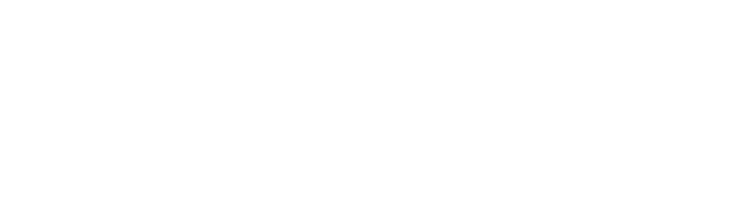 Wellt Trainer